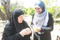 شاهد: بين خيمة التهجير وخيمة العودة.. الحاجة فاطمة عبد الله "شامّة ريحة يافا يمّه"